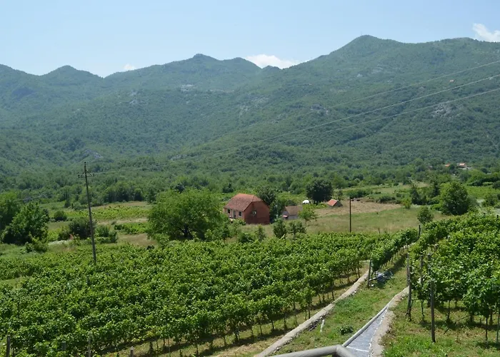 Markovic Winery And Estate Apartments