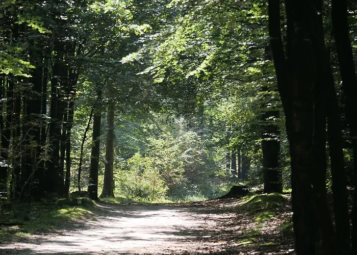 La Vita Veluwe