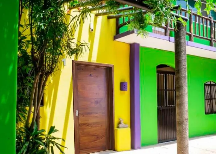 Oliva'S Tiny House