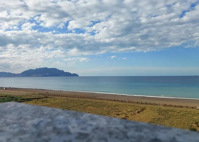Blador