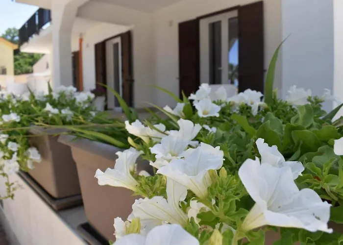 B&B Lastracu