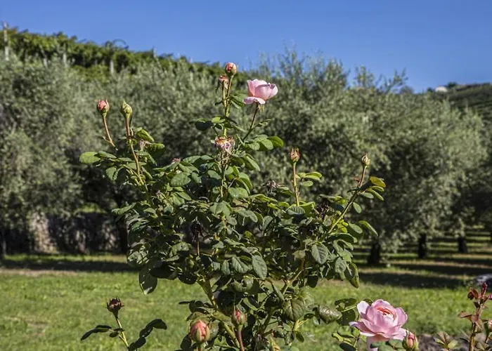 B&B Ca' Bernai