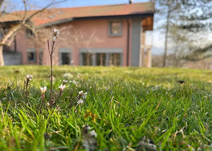 The Jad B&B