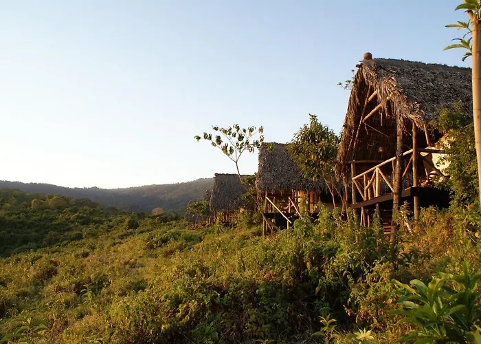 Crater Forest Tented Lodge