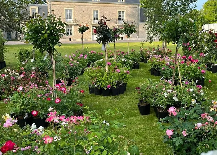 Le Manoir Du Ribardon