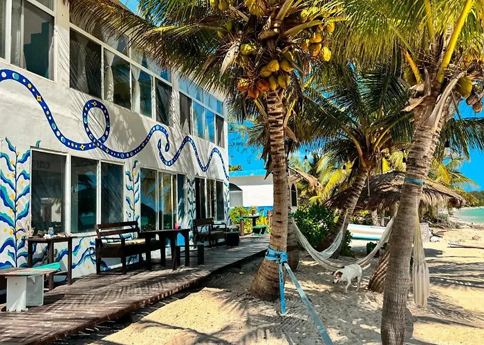 Pronoia Casa De Playa