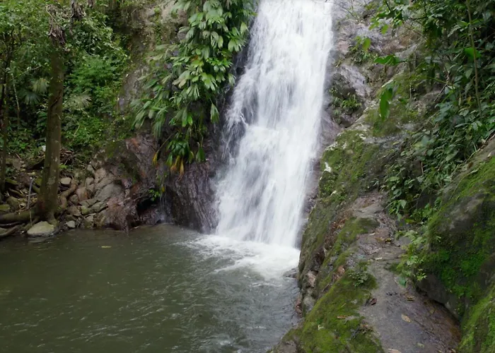 Selvaminca