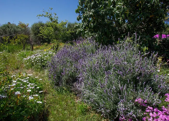 Quinta Maria En La Ruta Del Vino