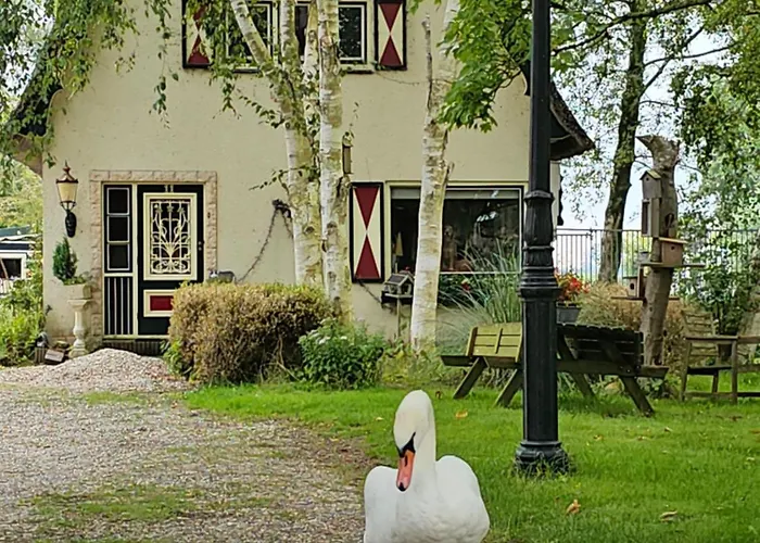 B&B Zusenzomer