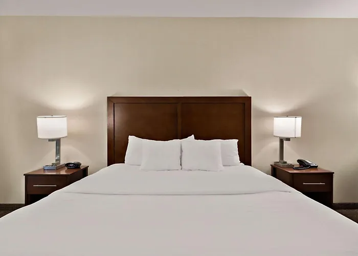 Comfort Inn & Suites Airport Convention Center