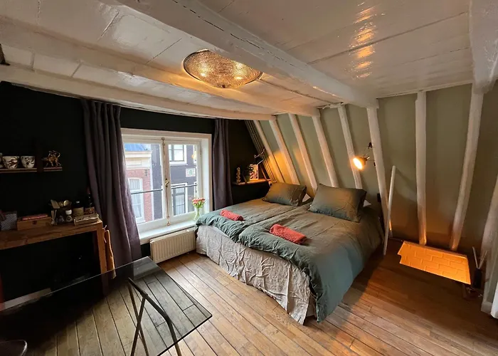 Attic Monkeys Lodge