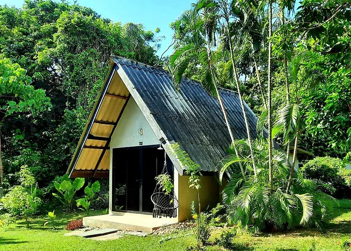 Cashewnut Tree Resort