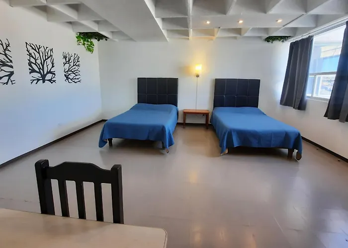 Hotel Allende 104