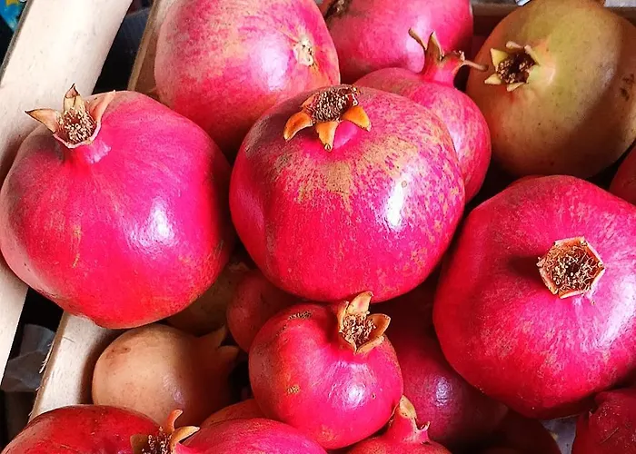 Il Conte di Montechiaro Rural B&B