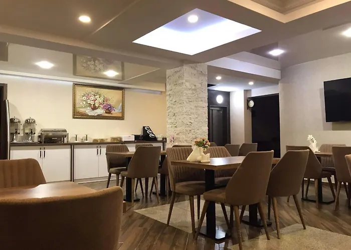 Hotel King David Bakuriani Mountain View