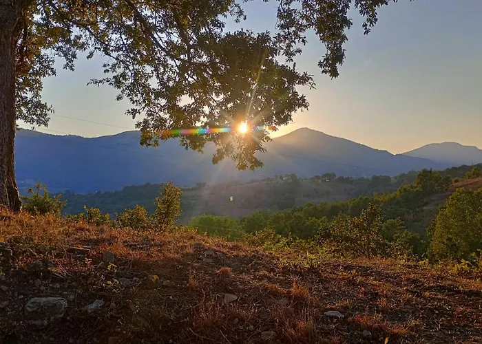 Il Sottobosco