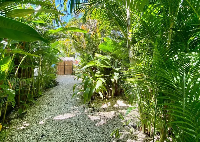 Santeria Lodge