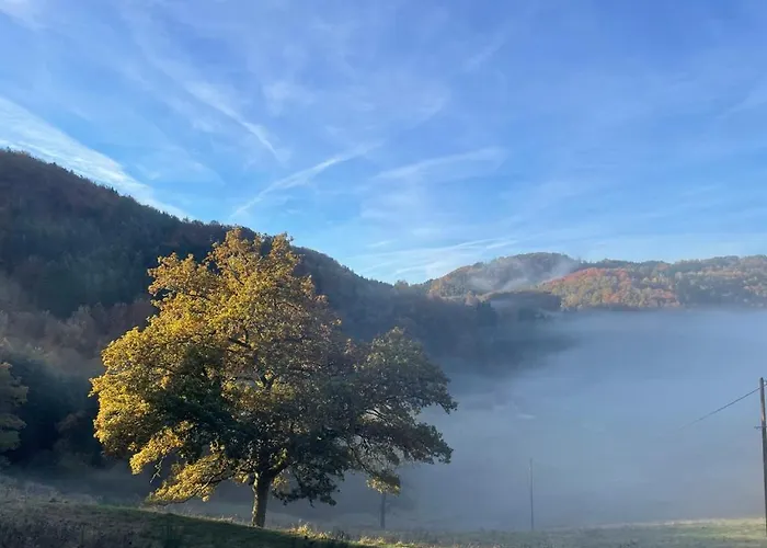 Moulin Des Borderies