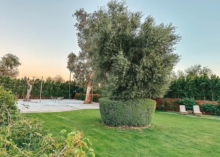 The Yucca Hotel (Adults Only)
