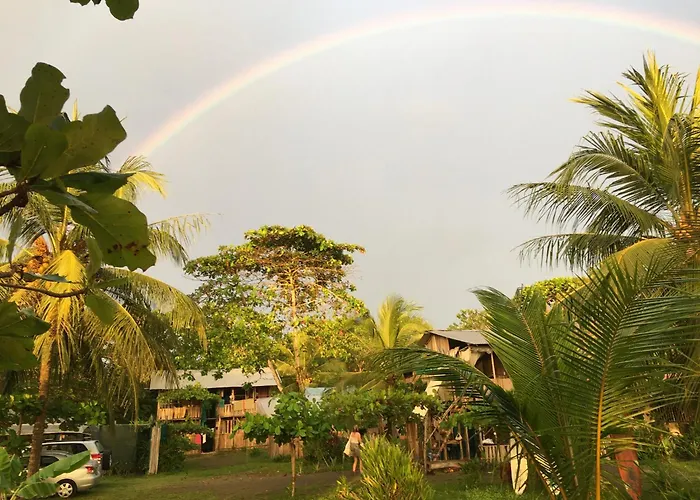 Miguel Surf Camp
