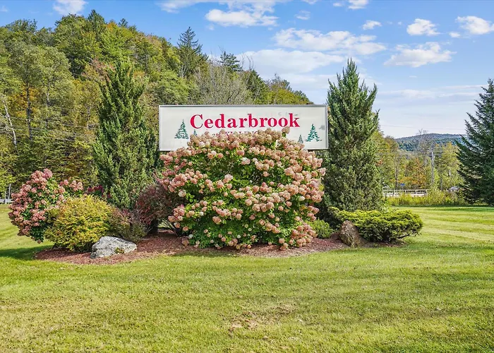 Cedarbrook Two Double Bed Standard Hotel Room 219