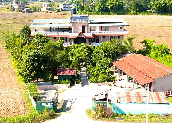 Hotel Tree Tops- A Serene Friendly Hotel In Sauraha