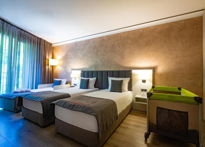 Hotel & Relax Zone Cattleya
