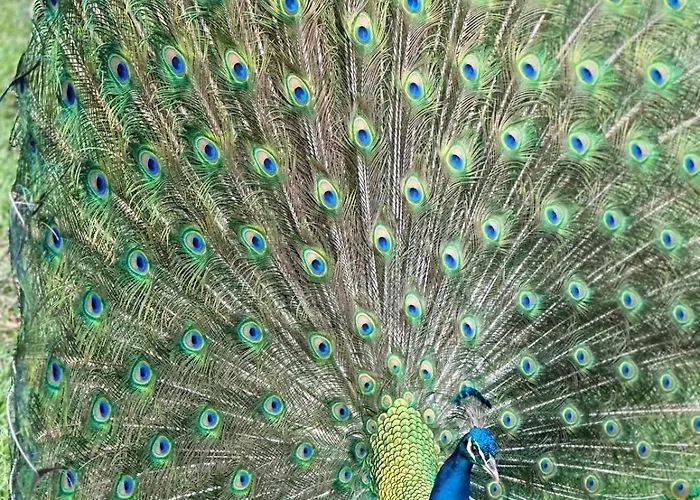 Pousada Rancho na Represa