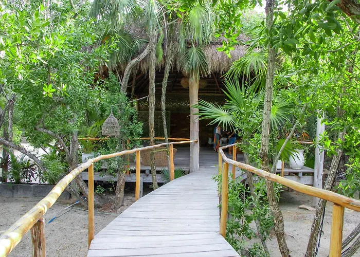 Blue Holbox