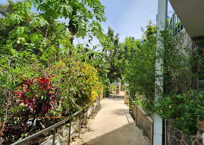 Hotel Ticozuma