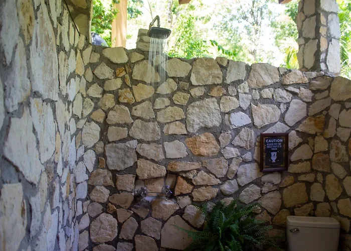 Alice Guesthouse