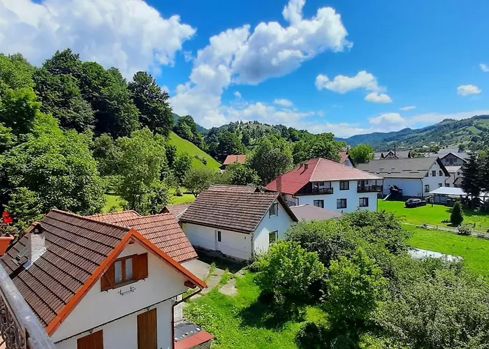 Pensiunea Montan Din Bran,Sat Simon Spa Indoor