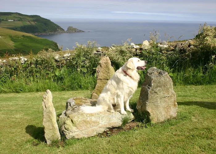 Wild Atlantic View Inishowen