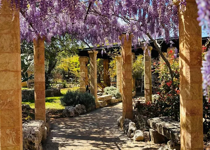 B&B Borgo del Gallo