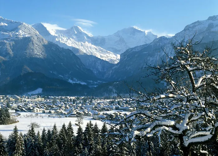 Jungfrau Hotel