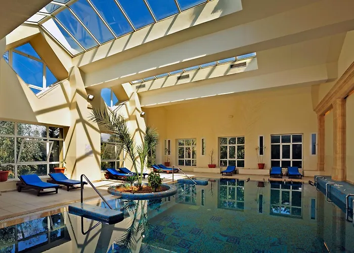 Medina Belisaire And Thalasso