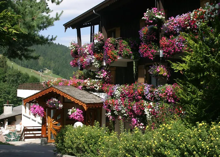 Hotel Le Petit Dru