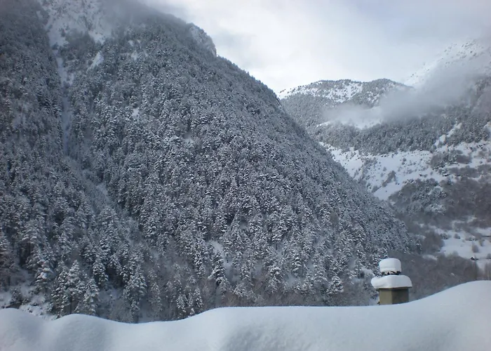 Hotel Montane