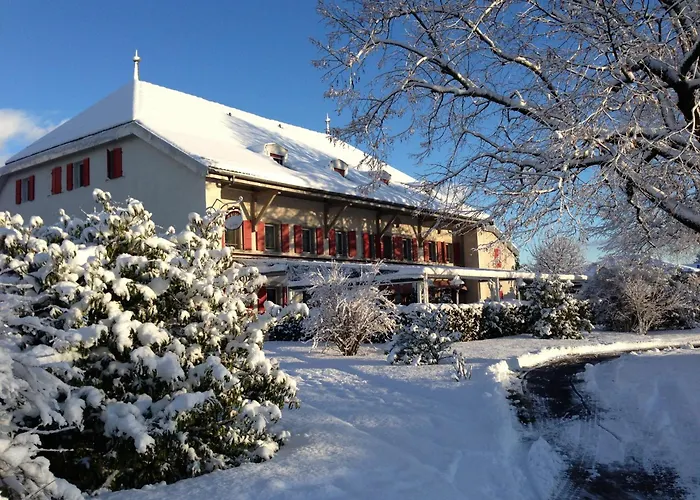 Auberge De La Reunion