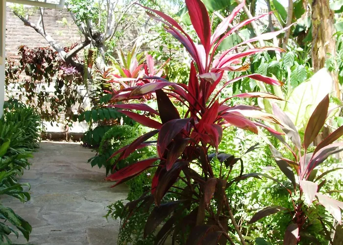 Hotel Casa Barcelona Granada