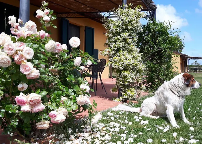 La Fattoria Di Tirrenia