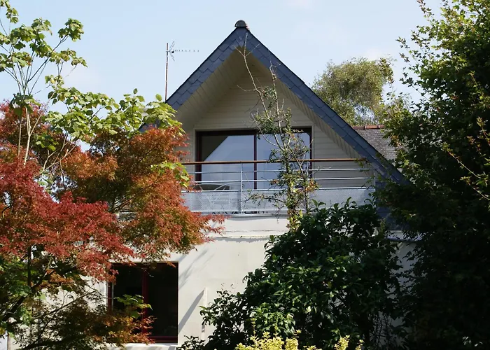 La Canopée des Pins