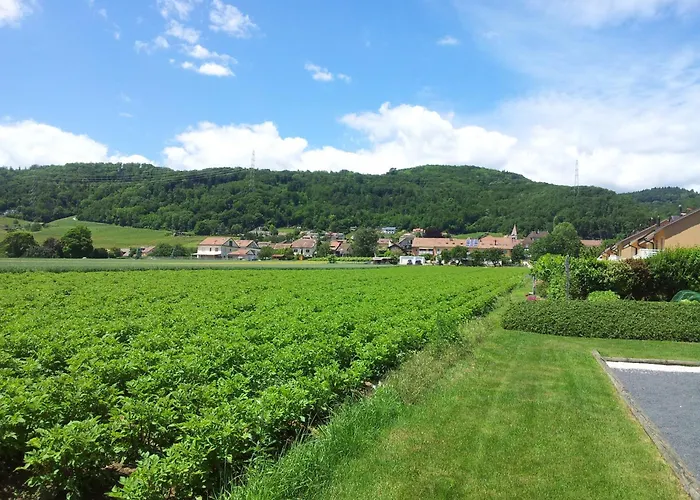 Au Coeur Du Vignoble Sur Bursins