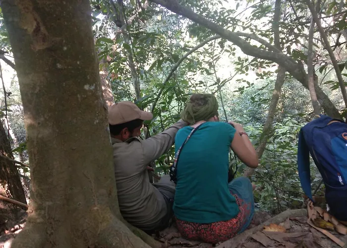 Chital Lodge