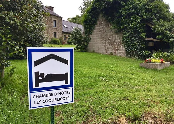 Les Coquelicots