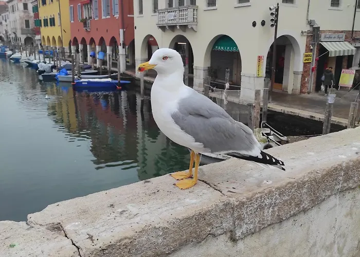 Ca' dell'Angelo