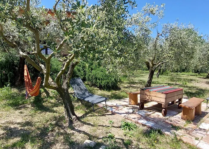 Le Rapacciole