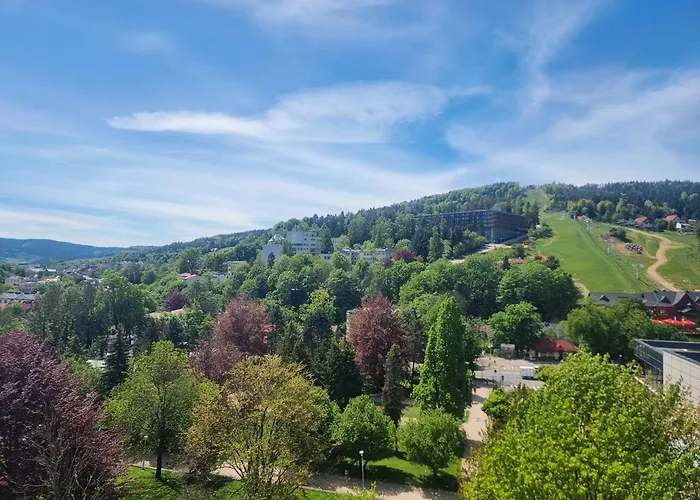 Sp Zoz Sanatorium Uzdrowiskowe Mswia W Krynicy-Zdroju