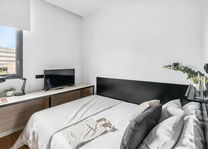 Home And Coliving Pamplona