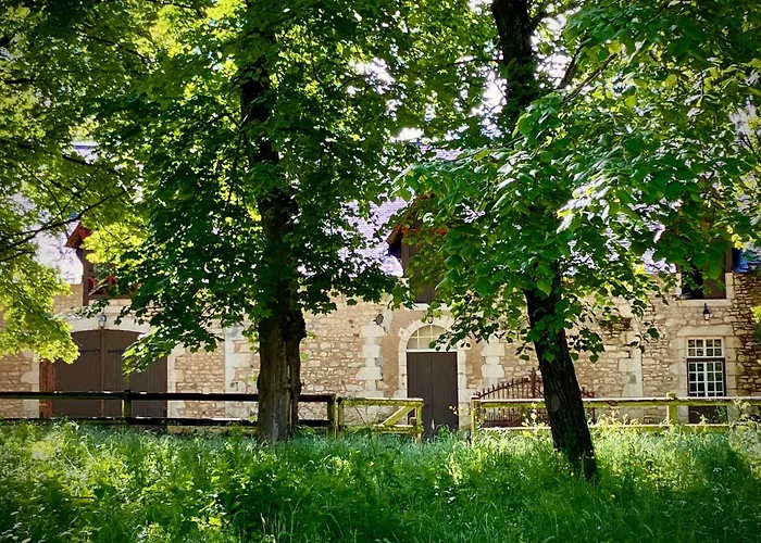 Château de La Tour en Brenne